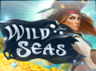 Игровой аппарат Wild Seas – пиратский слот на реальные деньги и демо